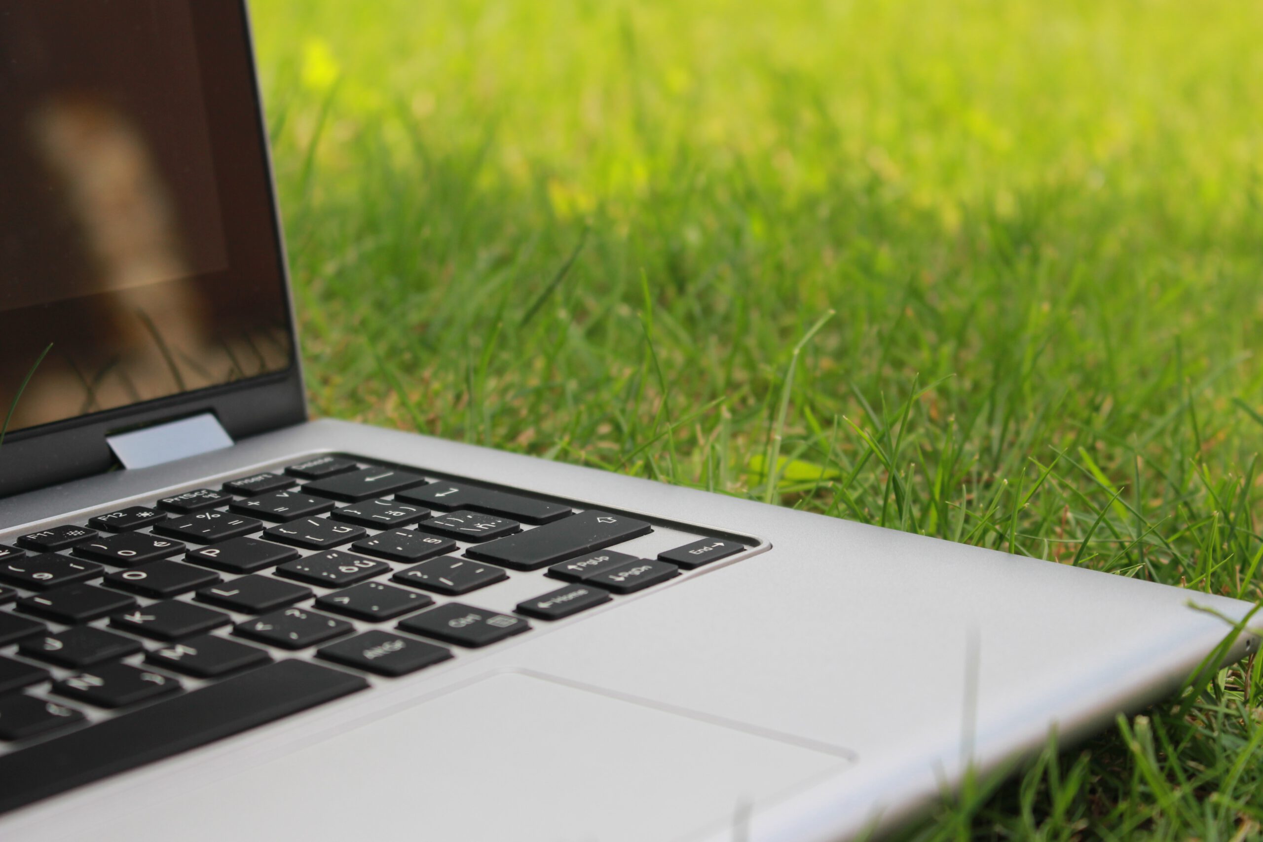 Studie: Nachhaltige Wirtschaft dank Cloud-Computing
